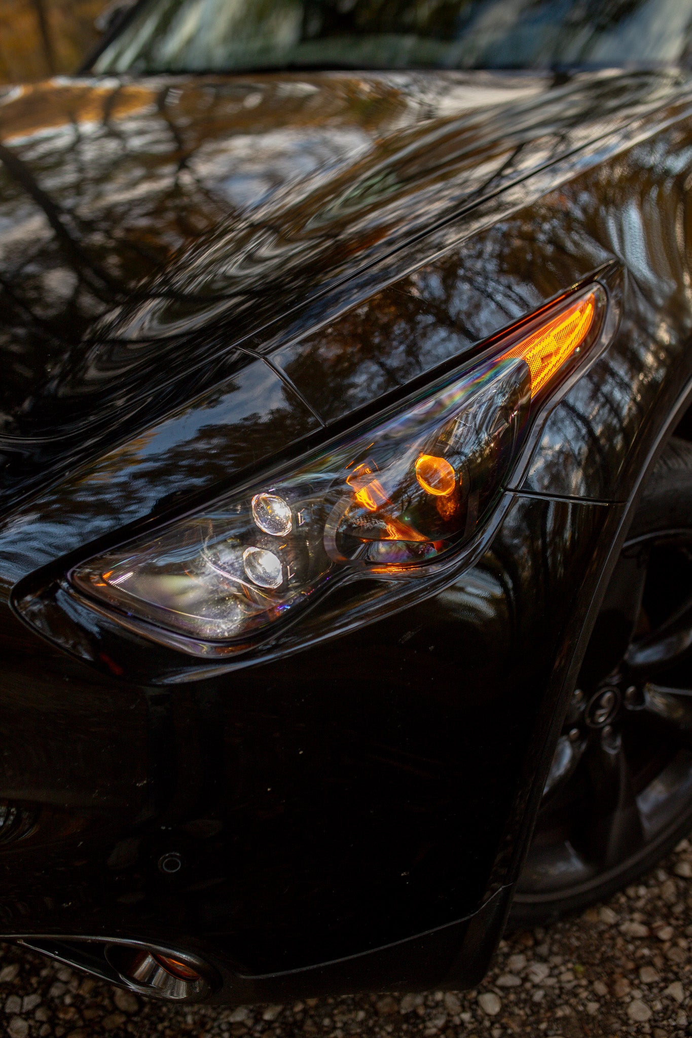 QX70 EVO TRI Series Headlights