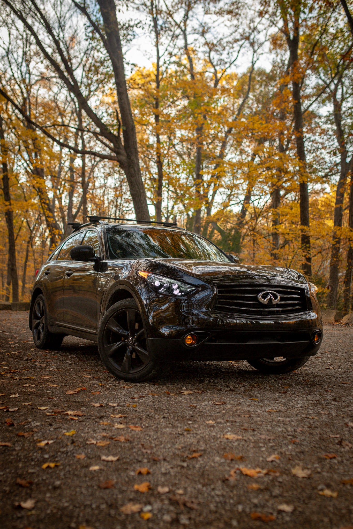 QX70 EVO TRI Series Headlights