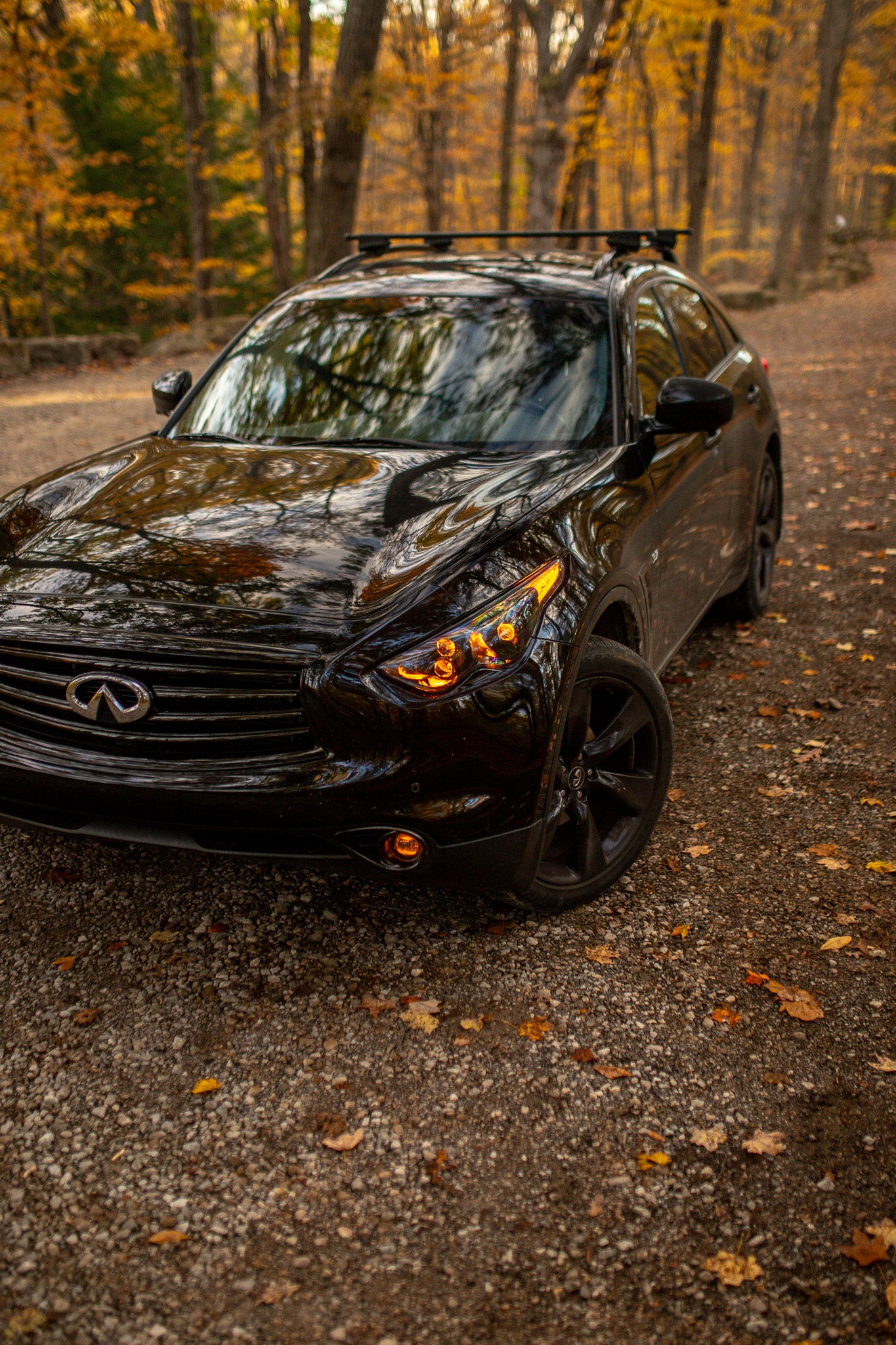 QX70 EVO TRI Series Headlights